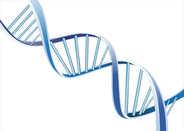 DNA işareti — Stok Vektör