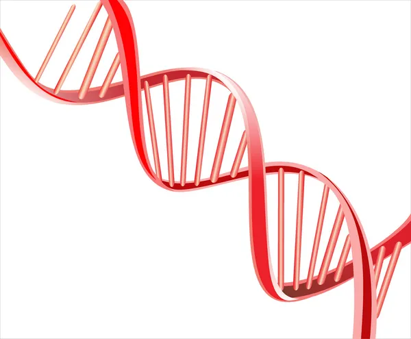 DNA red — Stock Vector