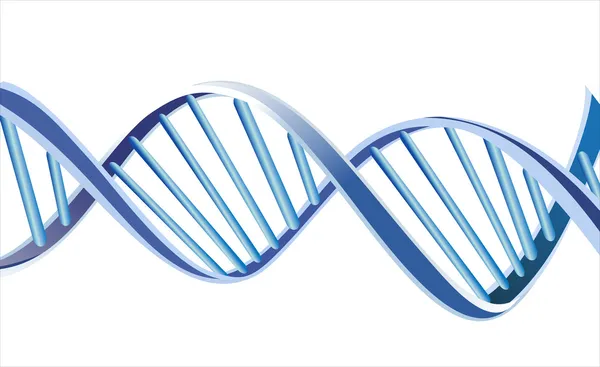 DNA işareti — Stok Vektör