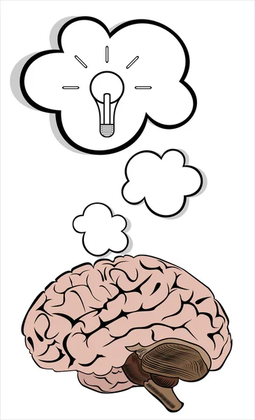 Bombilla con icono de vector cerebral, concepto de idea — Archivo Imágenes Vectoriales