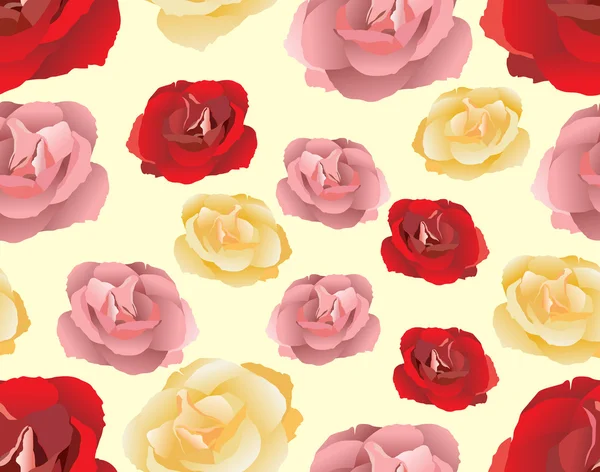 Patrón sin costuras con rosas rosadas, rojas y amarillas. Ilustración vectorial . — Archivo Imágenes Vectoriales