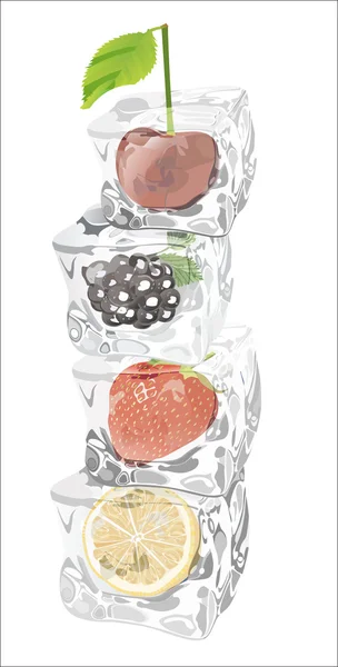 Fruits in Ice cubes over white — Stock Vector