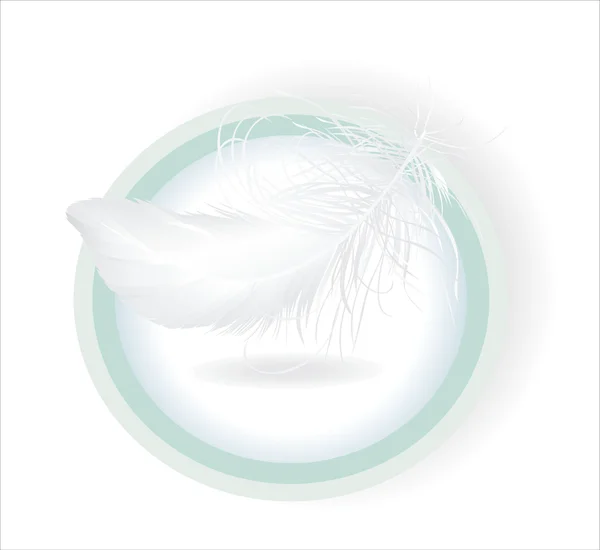 一只鸟的白羽 — 图库矢量图片