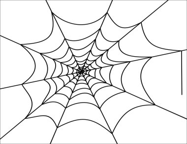 örümcek ağı gösteren resim