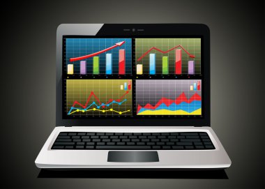 Bazı grafikler içeren bir elektronik tablo gösterilen laptop
