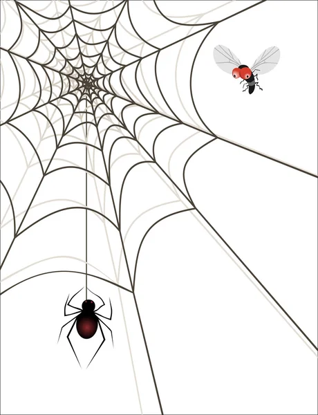 Spider in its web, watching its prey — Stock Vector