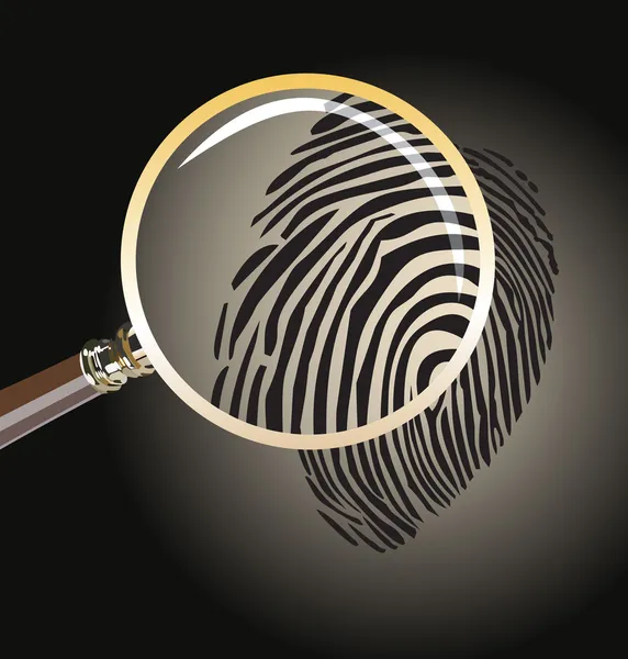 Fingerprint through magnifying glass — Stock Vector