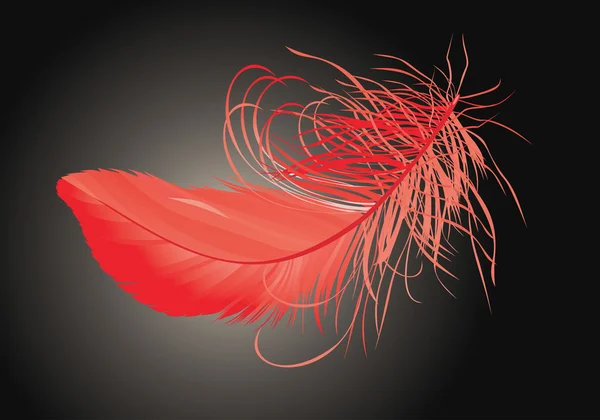 Pluma elegante roja — Vector de stock