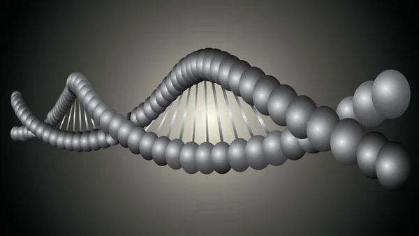 DNA-modell — Stock vektor