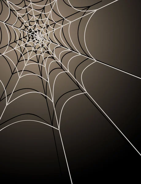 Illustration of cobweb — Stock Vector