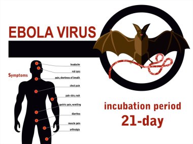 ebola virüsü belirtilerinin vektör çizimi