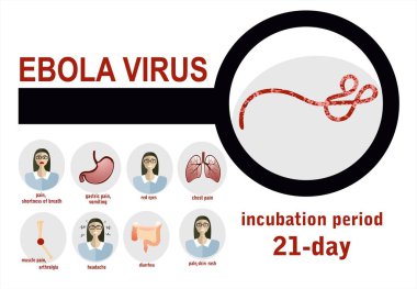 ebola virüsünün vektör çizimi 