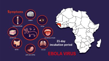 ebola virüsünün vektör çizimi 