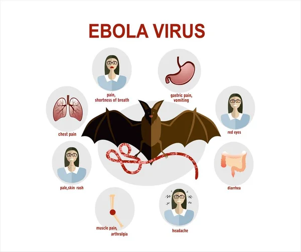 Vektorová Ilustrace Příznaků Ebola Viru — Stockový vektor