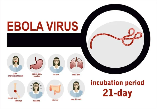 Vektorillustration Des Ebola Virus — Stockvektor