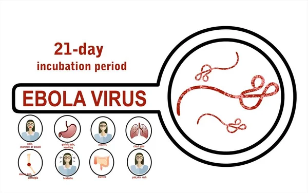 Illustration Vectorielle Virus Ebola — Image vectorielle