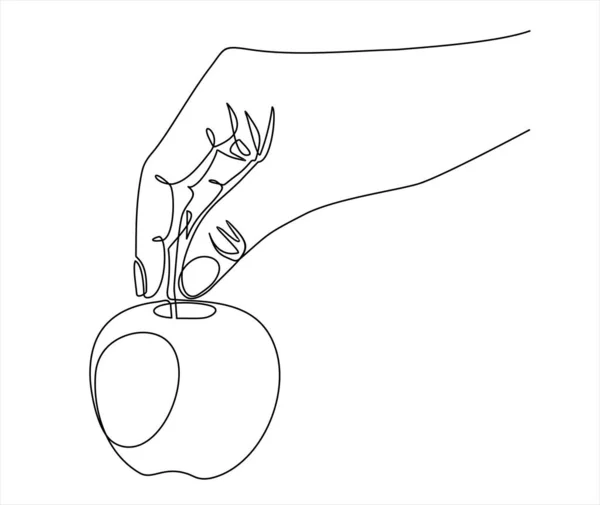 Hand Holding Apple Vector Illustration Continuous One Line Drawing — Vettoriale Stock