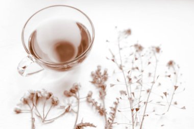 Cam bardakta çay. Bitkisel içecekle birlikte beyaz bir masanın etrafında bitkiler ve çiçekler. Sepya stili.