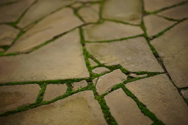 Vecchio Marciapiede Lastricato Pietra Selvatica Marrone Con Muschio Verde — Foto Stock