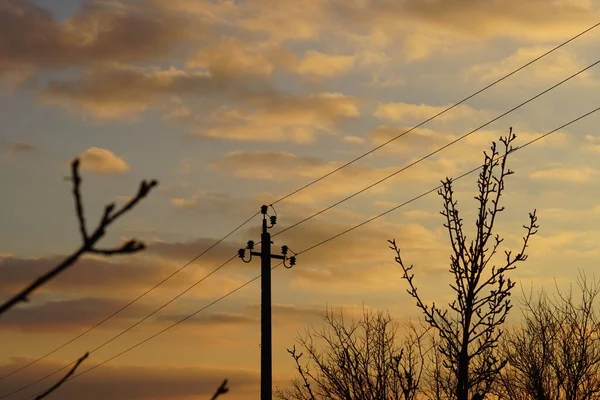 Zwart Silhouet Van Elektriciteitsleidingen Bomen Tegen Avond Zonsondergang Hemel — Stockfoto