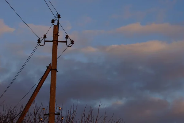 Schwarze Silhouette Von Stromleitungen Und Bäumen Vor Dem Blauen Abendhimmel — Stockfoto