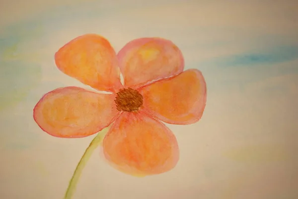 Cute Watercolor Flower Paper Album Hand Drawn Floral Card Retro — Zdjęcie stockowe