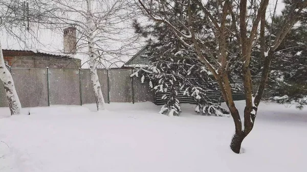 Kışın Kırsal Bahçe Ağaçların Bacalı Evlerin Arka Planında Kar Taneleri — Stok fotoğraf