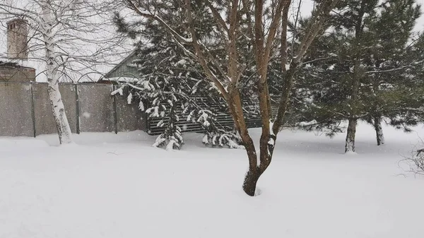 冬の田園庭園 煙突のある木や家の背景に雪の結晶が飛ぶ — ストック写真