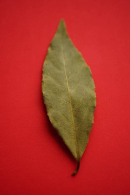 Canlı kırmızı masada yeşil kuru defne yaprağı.