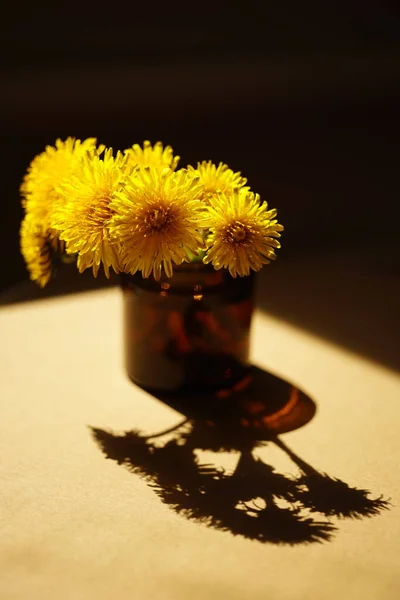Żółty Mniszek Lekarski Kwiaty Bukiet Brązowym Słonecznym Stole — Zdjęcie stockowe