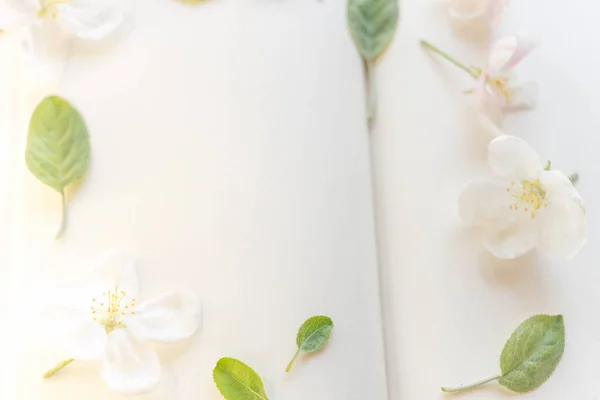 Open Book Blank Sheets White Apple Flowers Green Leaves Fresh — Stockfoto