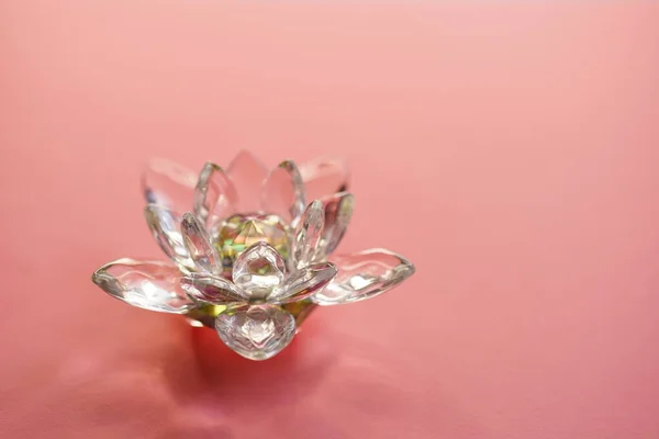 Crystal Lotus Rosa Bord Symbol För Renhet Återfödelse Och Upplysning — Stockfoto