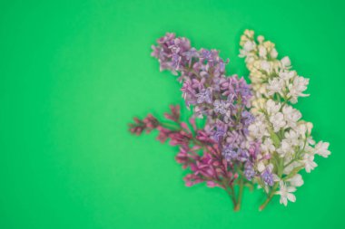 Yeşil masanın üzerinde beyaz çiçekli taze leylak dalları, boşluğu kopyala.