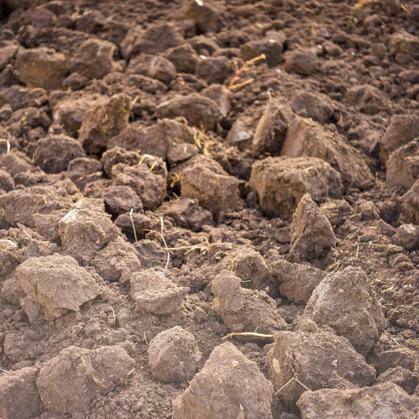 Ausgegrabenes Land Nahaufnahme Frischer Boden Für Hintergrund — Stockfoto