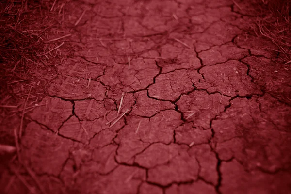 Earth Cracks Rural Road Close Red Tone — Stock Photo, Image