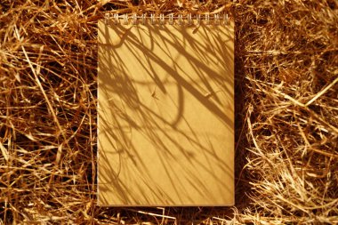 Bahçedeki kuru çimenler üzerine boş kahverengi sayfalı spiral bir kitap..