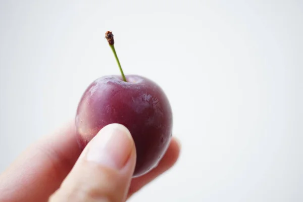 Ripe Plum Human Fingers White Background — Foto de Stock