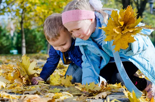 Дети собирают осенние листья — стоковое фото