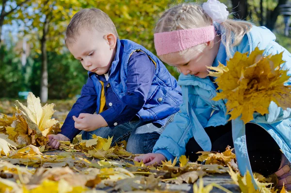 Niños felices jugando en hojas de otoño —  Fotos de Stock