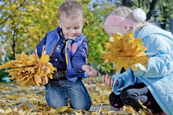 Children collecting yellow fall leaves — Stock Photo, Image