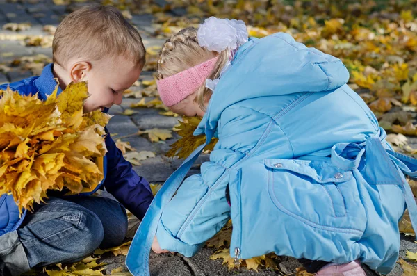 Дети играют в осенние листья — стоковое фото