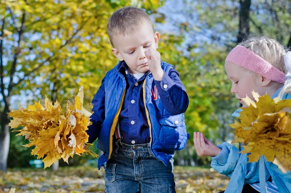 Små barn samla nedfallna höstlöv — Stockfoto