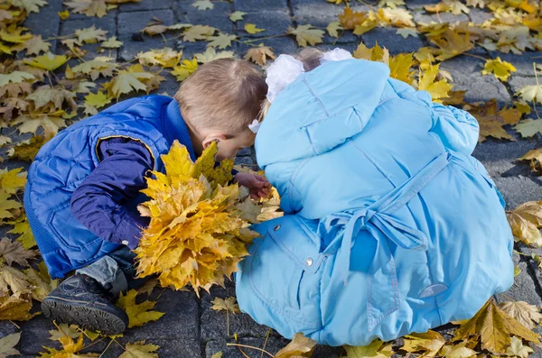 Crianças jovens reunindo folhas de outono — Fotografia de Stock