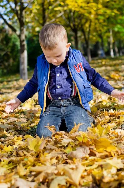 Little boy kneeling in autumn leaves — Stock Photo, Image