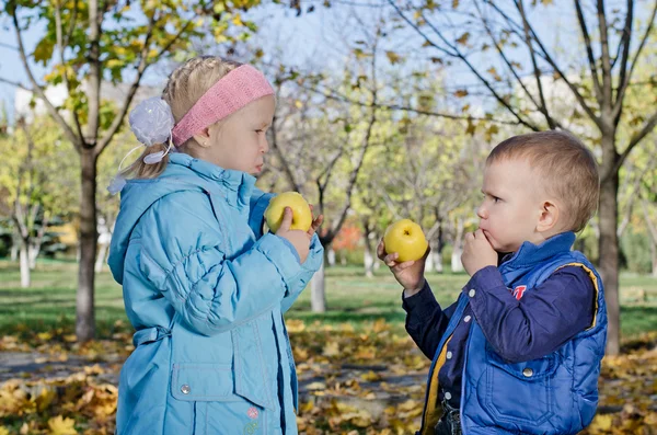 Broer en zus eten van appels — Stockfoto