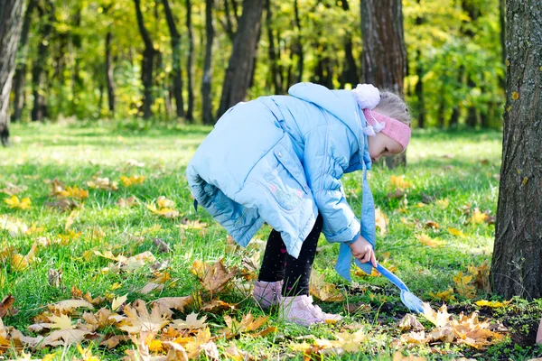 Fun avec les feuilles tombées — Photo