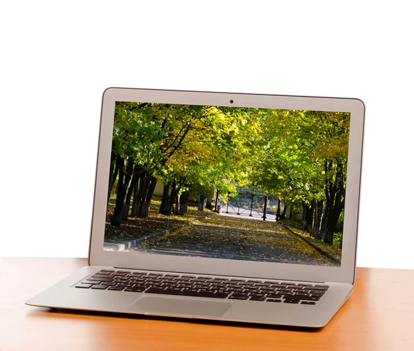 Ноутбук с изображением древесной дороги — стоковое фото