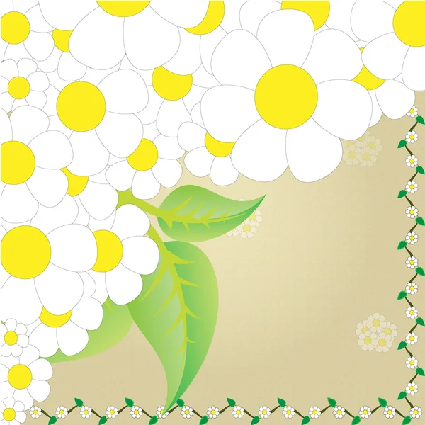 Cadre de camomille — Image vectorielle