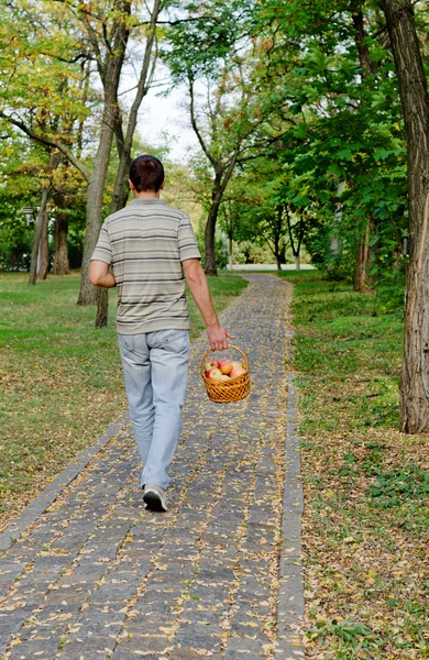 Man rear view — Stock Photo, Image