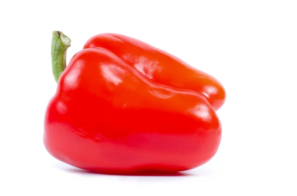 Red bell pepper paprika isolated on white — Stock Photo, Image